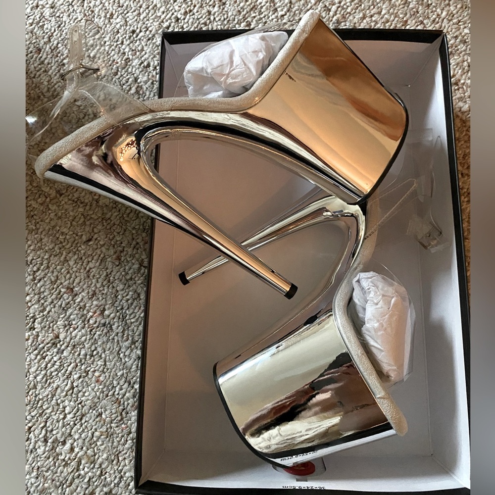 Pleaser Flamingo Silver Chrome size 10